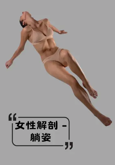 女性躺姿艺参考图