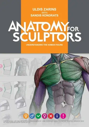 艺用人体解剖学