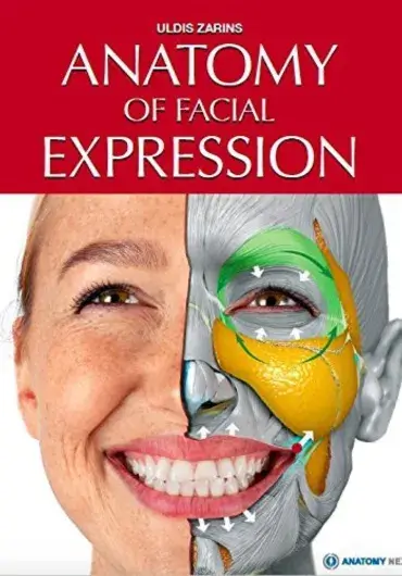 面部表情解剖学