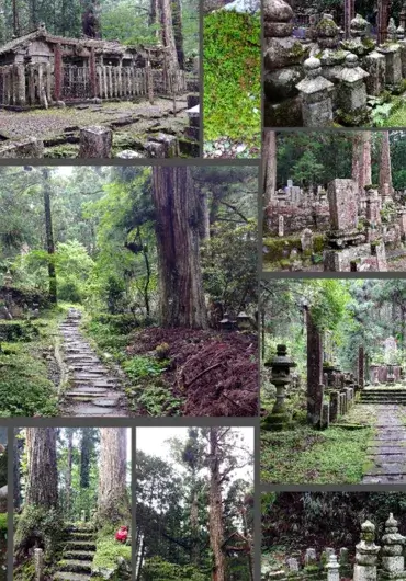 古代荒废的日本墓地