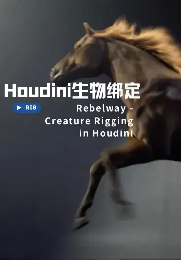Houdini高阶生物绑定教程