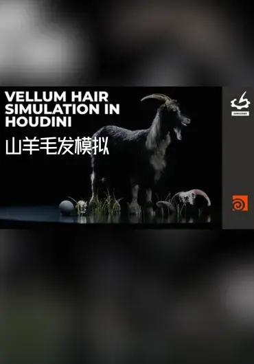 Houdini Vellum 山羊毛发模拟