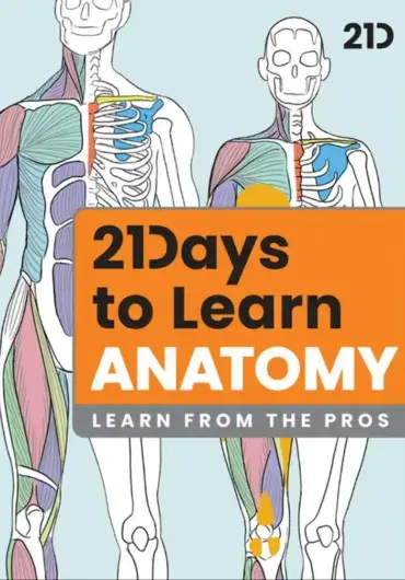 21 Draw – 21天学会艺术人体解剖