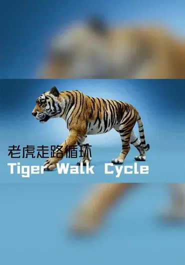 Sophoria Academy – maya老虎走路循环动画