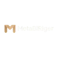 MetaBlRiger