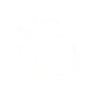 Chaos Corona
